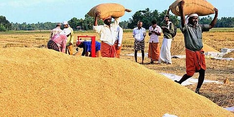 செப்.,30 வரை நெல் கொள்முதல் நிலையங்கள் செயல்படும்: தமிழக அரசு