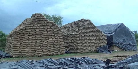 அதிகாரிகள் அலட்சியம் மழையில் 18 ஆயிரம் நெல் மூட்டைகள் வீண்