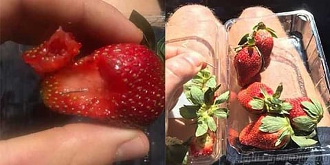 பழங்களுக்குள் ஊசி : பதறவைக்கும் சமூக விரோதிகள்