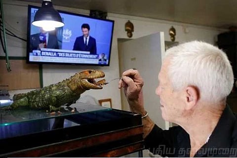 முதலை, பாம்புகளோடு வாழும் விசித்திர மனிதன்