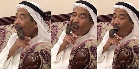 பல்குத்த குருவியை பயன்படுத்தும் ஷேக்: ட்விட்டரை கலக்கும் வீடியோ