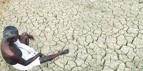 சம்பா சாகுபடிக்கு நீரில்லாததால் விவசாயி தற்கொலை