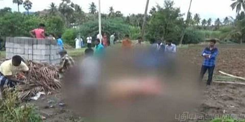 மின்கம்பி அறுந்து விழுந்து மாடு பரிதாப பலி