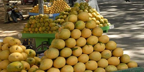 மாம்பழங்களின் அரசனுக்கு புவிசார் குறியீடு!