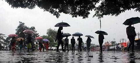 விளையாடுவதற்கு அல்ல; வானிலை அறிக்கை!