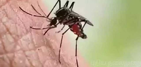 ராஜஸ்தானை அச்சுறுத்தி வரும் ஜிகா வைரஸ் - 50 பேருக்கு பாதிப்பு