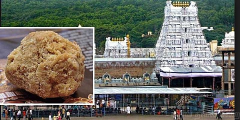 திருப்பதியில் மாயமான 16 ஆயிரம் லட்டு ! ஊழியர்களிடம் விசாரணை