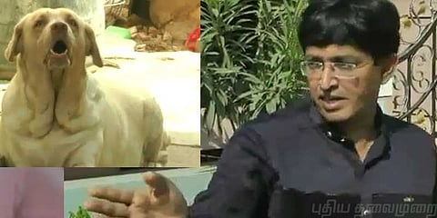 அதிகாரிகளை பணி செய்ய விடாமல் நாயை விட்டு ஏவியவர் கைது