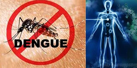 தமிழகத்தை கலங்க வைக்கும் காய்ச்சல்கள் !