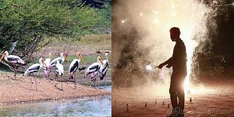 பறவைகளுக்காக 24 ஆண்டுகளாக பட்டாசு வெடிக்காத கிராமம்!