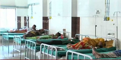 பன்றி, டெங்கு காய்ச்சலுக்கு தமிழ்நாட்டில் 29 பேர் பலி