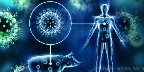 பன்றிக்காய்ச்சலுக்கு ஒரேநாளில் 6 பலி