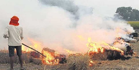 அறுவடைக்கு பின் எரிக்கப்படும் வயல்கள் - டெல்லியை அச்சுறுத்திவரும் காற்று மாசு