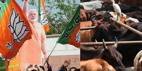 “ஆண்டுக்கு ஒரு லட்சம் பசுக்கள்” - பாஜக தேர்தல் வியூகம்