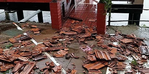 நாகை, புதுக்கோட்டையில் 'கஜா' புயல் கோரத்தாண்டவம் !