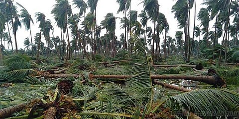 கேரளாவுக்குச் சென்றது ‘கஜா’ புயல்