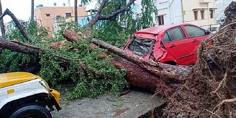 “கஜா புயல்” - உயிரிழந்தோர் எண்ணிக்கை 46 ஆக அதிகரிப்பு