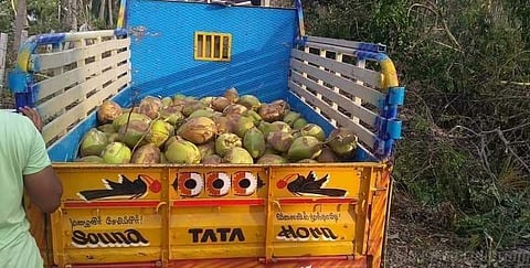 “நாங்கள் உணவு கொடுக்கிறவர்கள்” இக்கட்டான சூழ்நிலையிலும் நிரூபித்த டெல்டா விவசாயிகள்..!