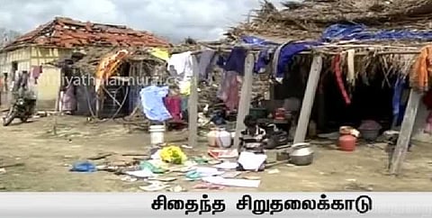 கஜா புயலால் சிதைந்துபோன சிறுதலைக்காடு கிராமம் !