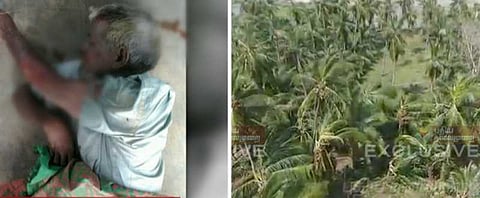 கஜா புயலுக்கு தென்னைகளை பறிகொடுத்த விவசாயி தற்கொலை..!