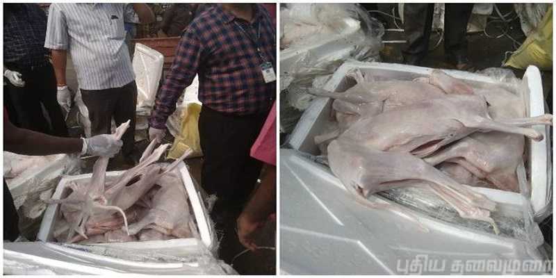 நாய்க்கறி வதந்தியால் சரிந்தது ஆட்டிறைச்சி விற்பனை