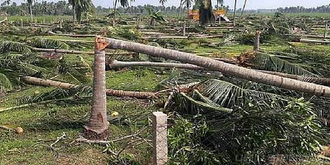 “நிவாரணத்தை உயர்த்தி தரவேண்டும்” - விவசாயிகள் கோரிக்கை