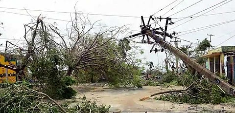 தஞ்சை, திருவாரூர் மாவட்டங்களில் மத்தியக் குழு இன்று ஆய்வு