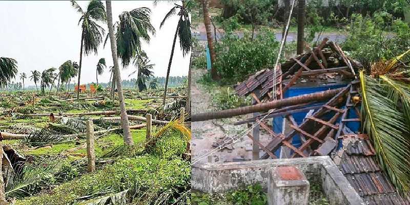 கஜா புயலால் வாழ்வாதாரத்தை இழந்த கிராமம் !