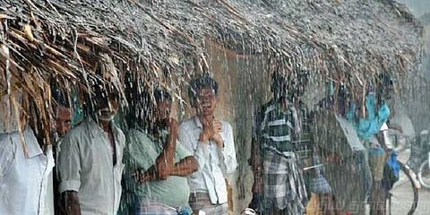 டெல்டா மாவட்டங்களில் தொடரும் மழை.. மக்கள் கவலை..!