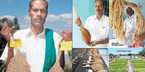 இளைஞர்களை கவர்ந்த நெல் ஜெயராமன் !