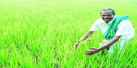 நெல் ஜெயராமனுக்கு சொந்த ஊரில் மக்கள் அஞ்சலி !