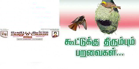 கூட்டுக்கு திரும்பும் பறவைகள்: ’நமது அம்மா’ தகவல்!