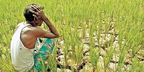 விவசாயக் கடன் தள்ளுபடி கிடையாது - மத்திய அரசு