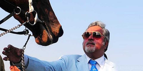 பராமரிக்க முடியாததால் விற்பனைக்கு வரும் மல்லையாவின் குதிரைகள்