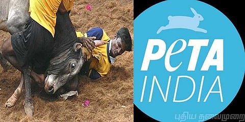 ஜல்லிக்கட்டு வழக்கை விரைந்து நடத்த பீட்டா கோரிக்கை