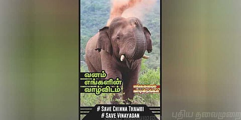 நாடு கடத்தப்படும் யானைகள் ! இரக்கம் காட்டுமா மனித இனம் ?