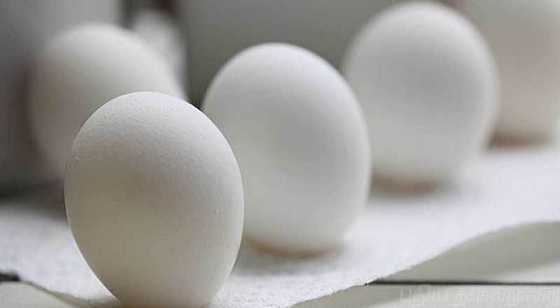 1 கிலோ சிக்கனுக்கு 4 முட்டைகள் இலவசம்.. விழிப்புணர்வு ஏற்படுத்தும் கறிக்கடைக்காரர்..!