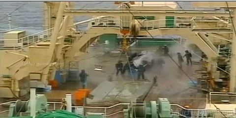 வர்த்தகத்திற்காக மீண்டும் திமிங்கல வேட்டை - ஜப்பான் திட்டம்