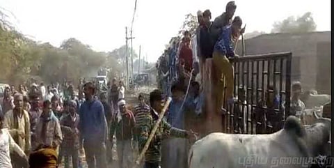 உ.பி.யில் சம்பவம்: பள்ளிகளில் 800 மாடுகளை அடைத்த உள்ளூர்வாசிகள்!