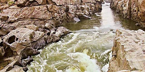 மேகதாது விவகாரம்: தமிழக, கர்நாடகா முதலமைச்சர்களுக்கு நிதின் கட்கரி கடிதம்