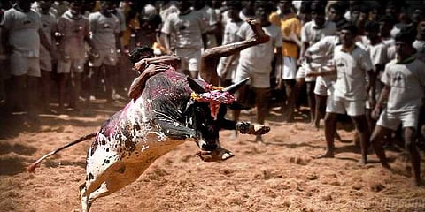 புகார் இல்லாமல் ஜல்லிக்கட்டை நடத்த வேண்டும்: குப்தா