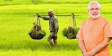 ஏக்கருக்கு ரூ.4 ஆயிரம் விவசாயக்கடன் : நேரடியாக செலுத்த மோடி அரசு திட்டம்