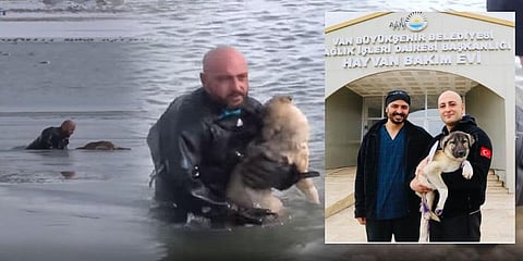 உயிரை பணயம் வைத்து நாய்க்குட்டியை காப்பாற்றிய போலீஸ்: வீடியோ