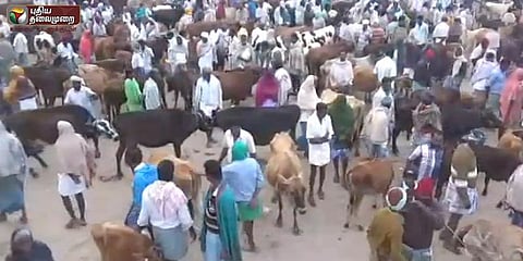 5 கோடிக்கு மேல் விற்பனை - களைகட்டிய ‘குந்தாரப்பள்ளி மாட்டு சந்தை’