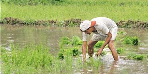 விவசாய கடன் தள்ளுபடி: ஆர்பிஐ ஆளுநர் எச்சரிக்கை