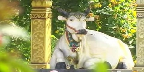 ஜல்லிக்கட்டு காளைக்கு மணிமண்டபம் - 13 ஆண்டுகளாக வழிபடும் கிராம மக்கள்