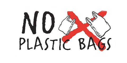 “நெகிழி உற்பத்தியாளர்களை துன்புறுத்தாதீங்க” - உயர்நீதிமன்றம் அறிவுரை