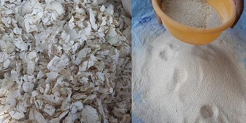 முட்டை ஓட்டிலிருந்து உர தயாரிப்பு: தென்காசி நகராட்சி புது முயற்சி