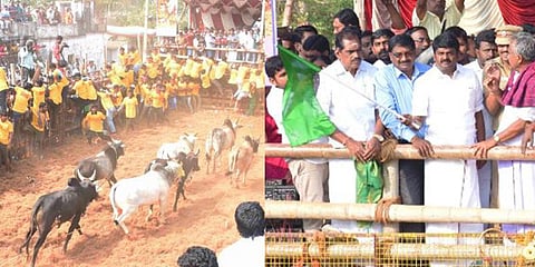 சீறிப் பாய்ந்த காளைகள் - களைகட்டிய தச்சங்குறிச்சி ஜல்லிக்கட்டு