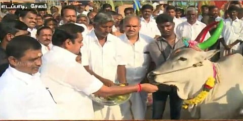 குடும்பத்துடன் பொங்கல் கொண்டாடிய முதல்வர், துணை முதல்வர்